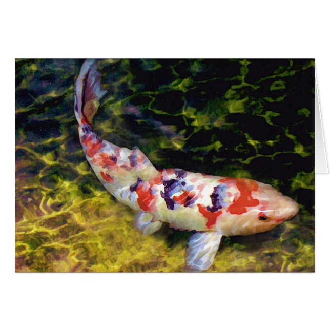Sanke Koi sous-marin (Devant horizontal)