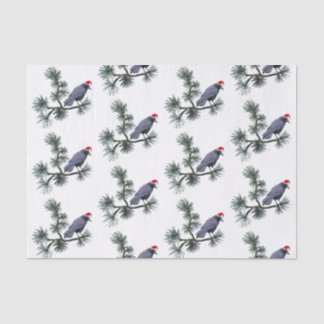 Santa Crow dans du papier de soie en pin