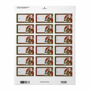 Santa Hat&Coat Christmas Kitty Étiquette