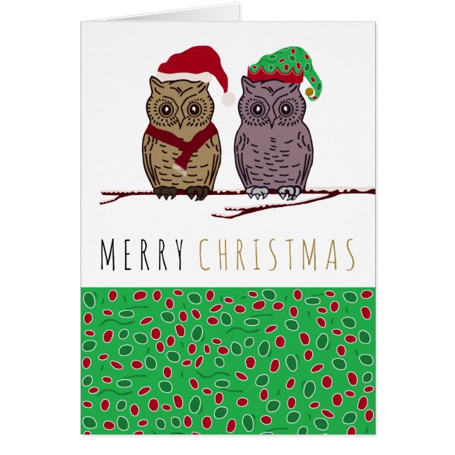 Santa Owl and Elf Owl (Devant)