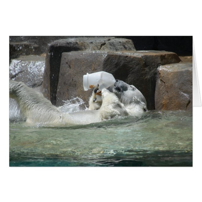 Santé! (Devant horizontal)