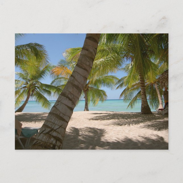 Saona Island République dominicaine carte postale (Devant)