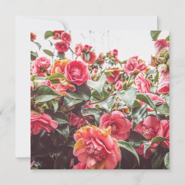 Saphir Or | Carte Carrée Plate avec Enveloppe (Devant)