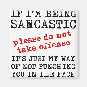 Sarcastique Offensive Funny Fridge Magnet Citation