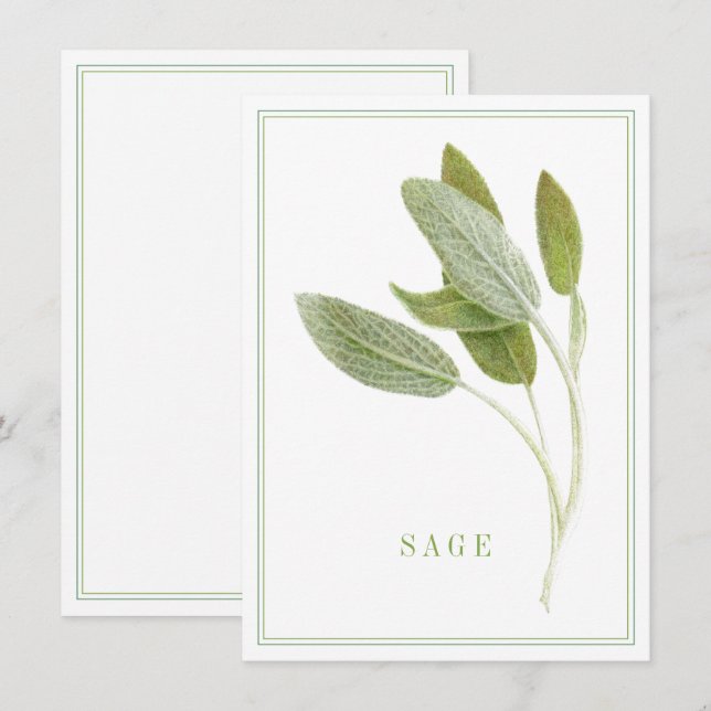 SAUGE FRAÎCHE Carte plate 4,5x6,25 (Devant / Derrière)