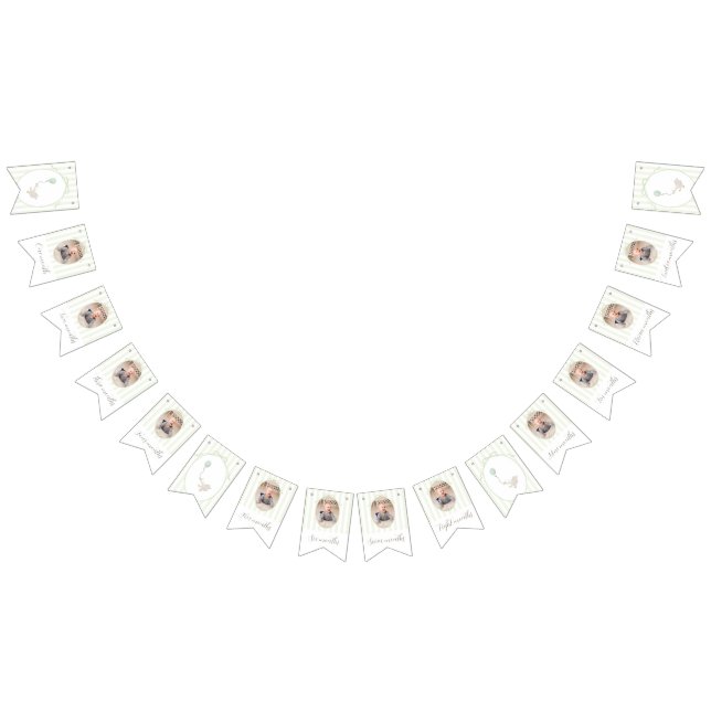 Sauge verte Oie soie 12 mois Bannière photo (Tout)