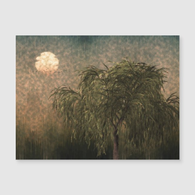 Saule au coucher du soleil (Devant)