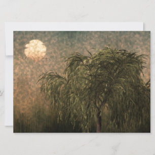 Saule au coucher du soleil
