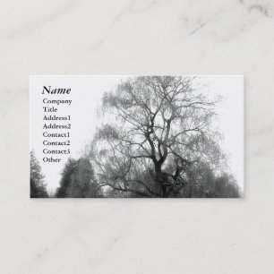 Saule Black&White - cartes de visite