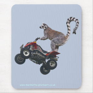 Saut du tapis de souris de lémur
