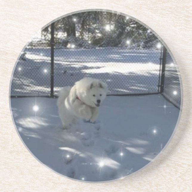 Saut Samoyé dans le dessous de verre de neige (Devant)