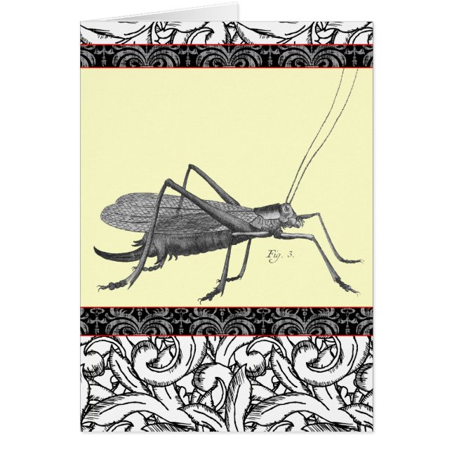 Sauterelle très élégante de copie antique (Devant)