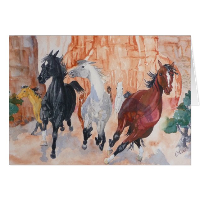 Sauvage dans les canyons (Devant horizontal)