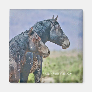 Sauvage et libre, Magnet