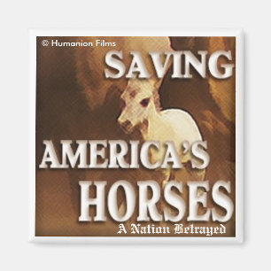 Sauver les chevaux américains - Magnet