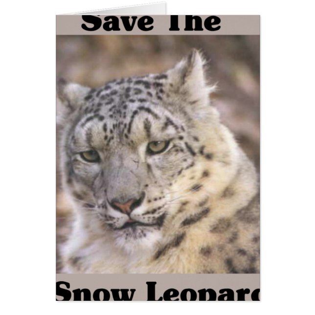 Sauvez le léopard des neiges (Devant)