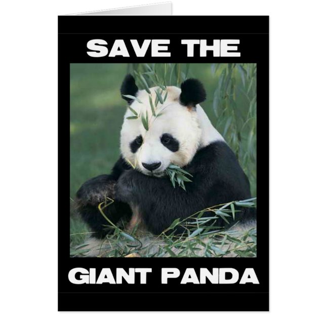 Sauvez le panda géant (Devant)