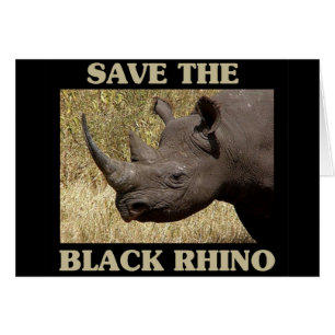 Sauvez le Rhino noir