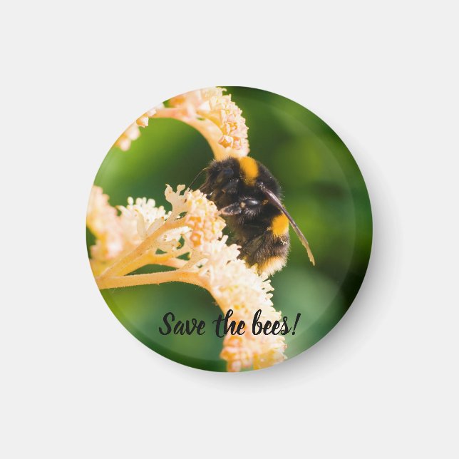 "Sauvez les abeilles" Abeille sur un aimant à fleu (Devant)