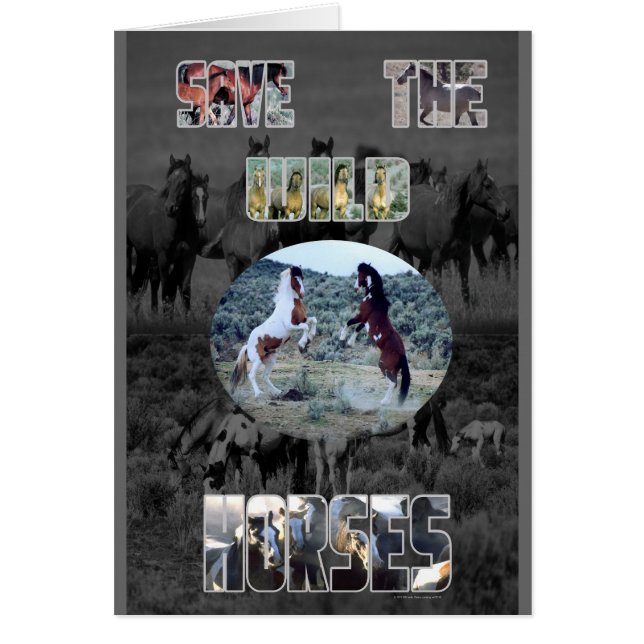 Sauvez Les Chevaux Sauvages (Devant)