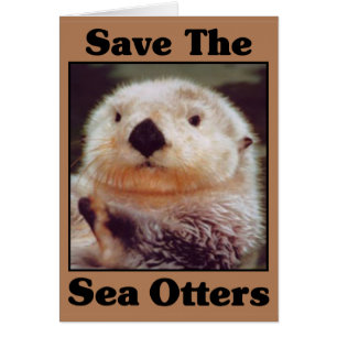 Sauvez les loutres de mer