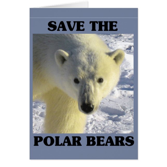 Sauvez les ours polaires (Devant)