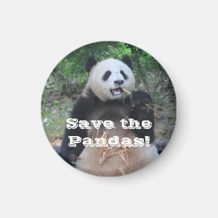 Sauvez les pandas géants Magnet