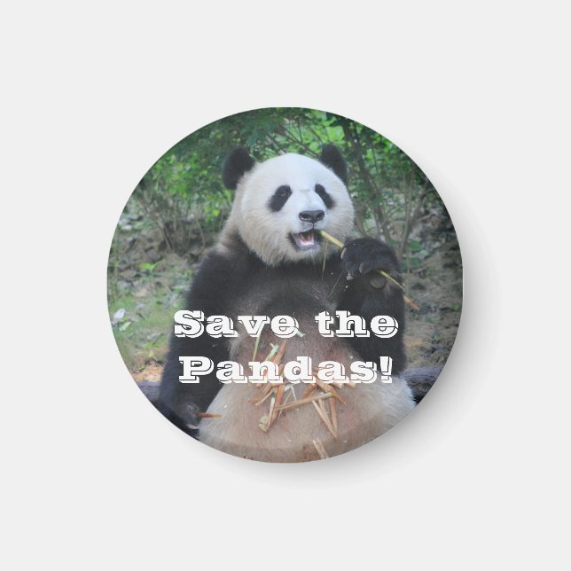 Sauvez les pandas géants Magnet (Devant)
