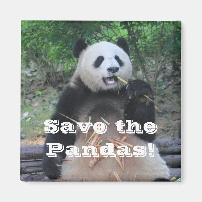 Sauvez les pandas géants Magnet (Devant)