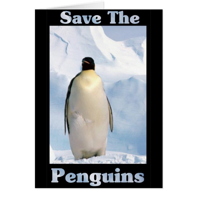Sauvez les pingouins (Devant)