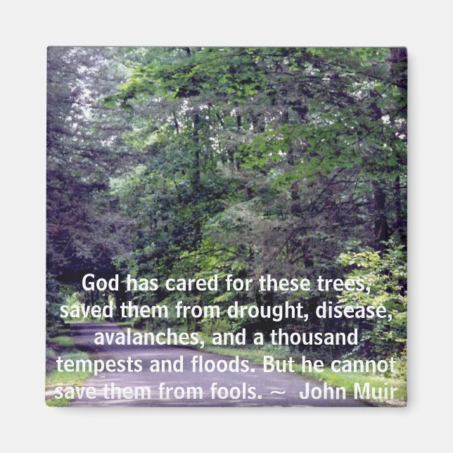 Sauvez-nous des imbéciles - aimant (Devant)