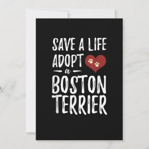 Sauvez une vie Adoptez un Boston Terrier pour Seco