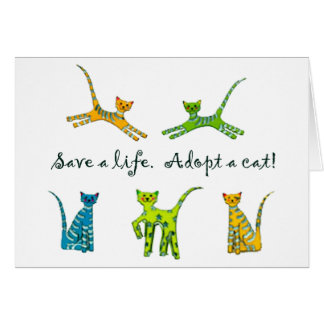 Sauvez une vie. Adoptez un chat !