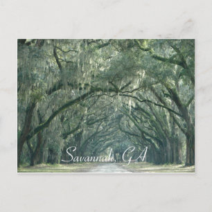 Savannah, carte postale GA