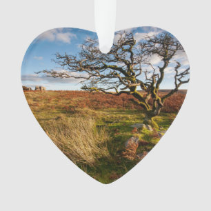 Savannah du désert Photo personnalisée