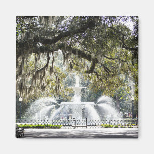 Savannah Forsyth Fountain Magnet