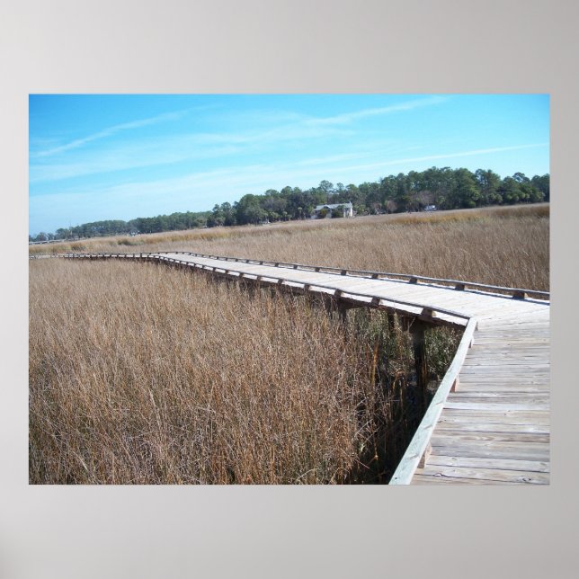 Savannah Georgia Tybee Island Trail Poster GA (Devant)