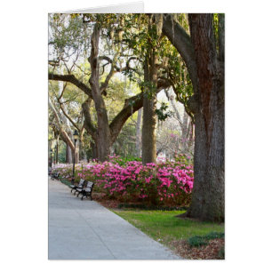 Savannah Géorgie au printemps Forsyth Park Azaleas
