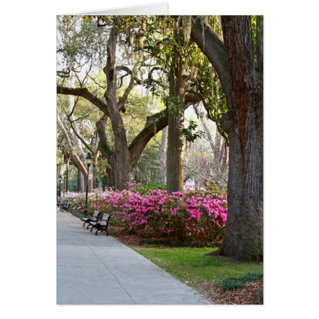 Savannah Géorgie au printemps Forsyth Park Azaleas (Devant)