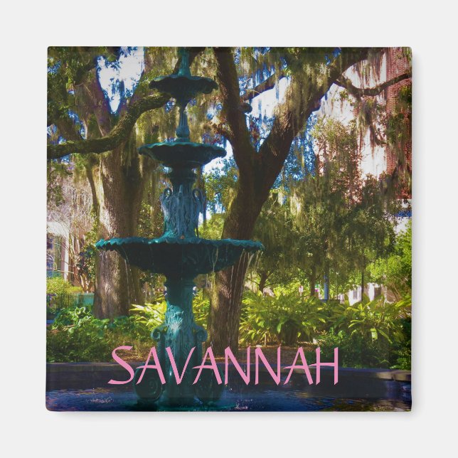 Savannah magnet 17 (Devant)