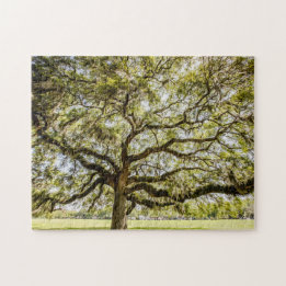 Savannah Mighty Oak Souvenir Challenger Puzzle