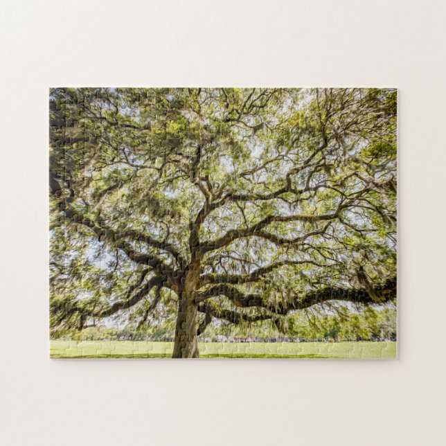 Savannah Mighty Oak Souvenir Challenger Puzzle (Horizontal)
