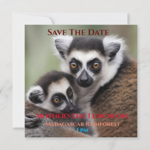 Save The Date **"Amour de la mère : Mummy and Baby Lemur Cuddlin