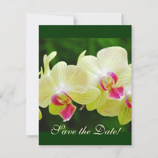 Save The Date Annonce de réservation de date pour l'orchidée (Devant)
