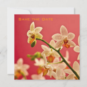 Save The Date Annonce de sauvegarde de date de l'Orchidée Rouge