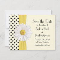 Annonce de "Shasta Daisy Polka Dot" pour Sauvegard