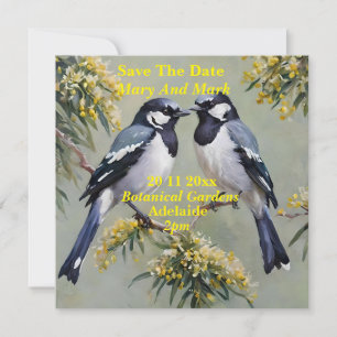 Save The Date Australian Magpies Oil Paint, Enregistrer La Date,