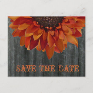 Save The Date Barnwood & Sunflower Mariage de automne Enregistre