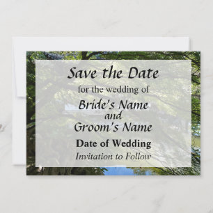 Save The Date Bassin de carpes dans le jardin chinois, Enregistr