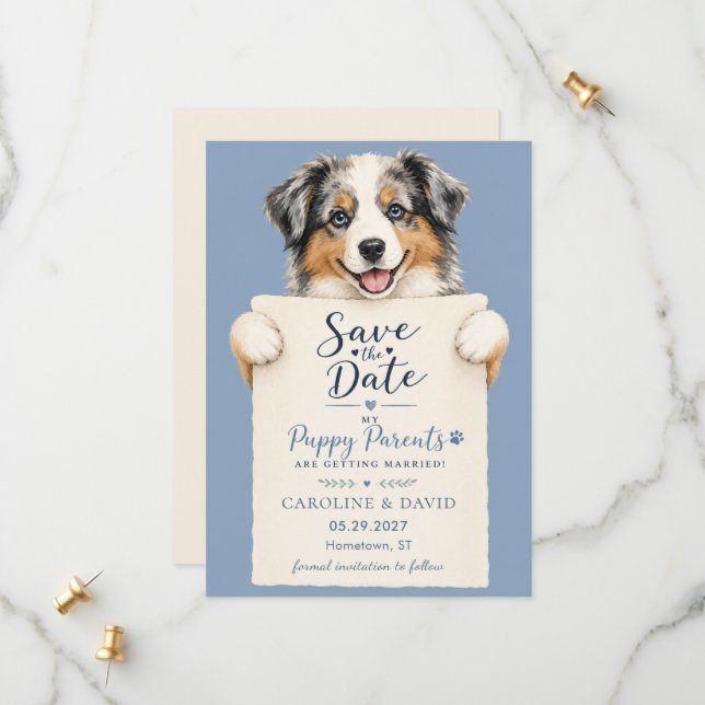 Save The Date Berger Australien Aussie Chien Animal de Compagnie (Devant/Arrière en situation)